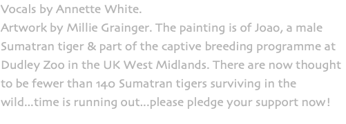 Vocals by Annette White. Artwork by Millie Grainger. The painting is of Joao, a male Sumatran tiger & part of the captive breeding programme at Dudley Zoo in the UK West Midlands. There are now thought to be fewer than 140 Sumatran tigers surviving in the wild...time is running out...please pledge your support now!